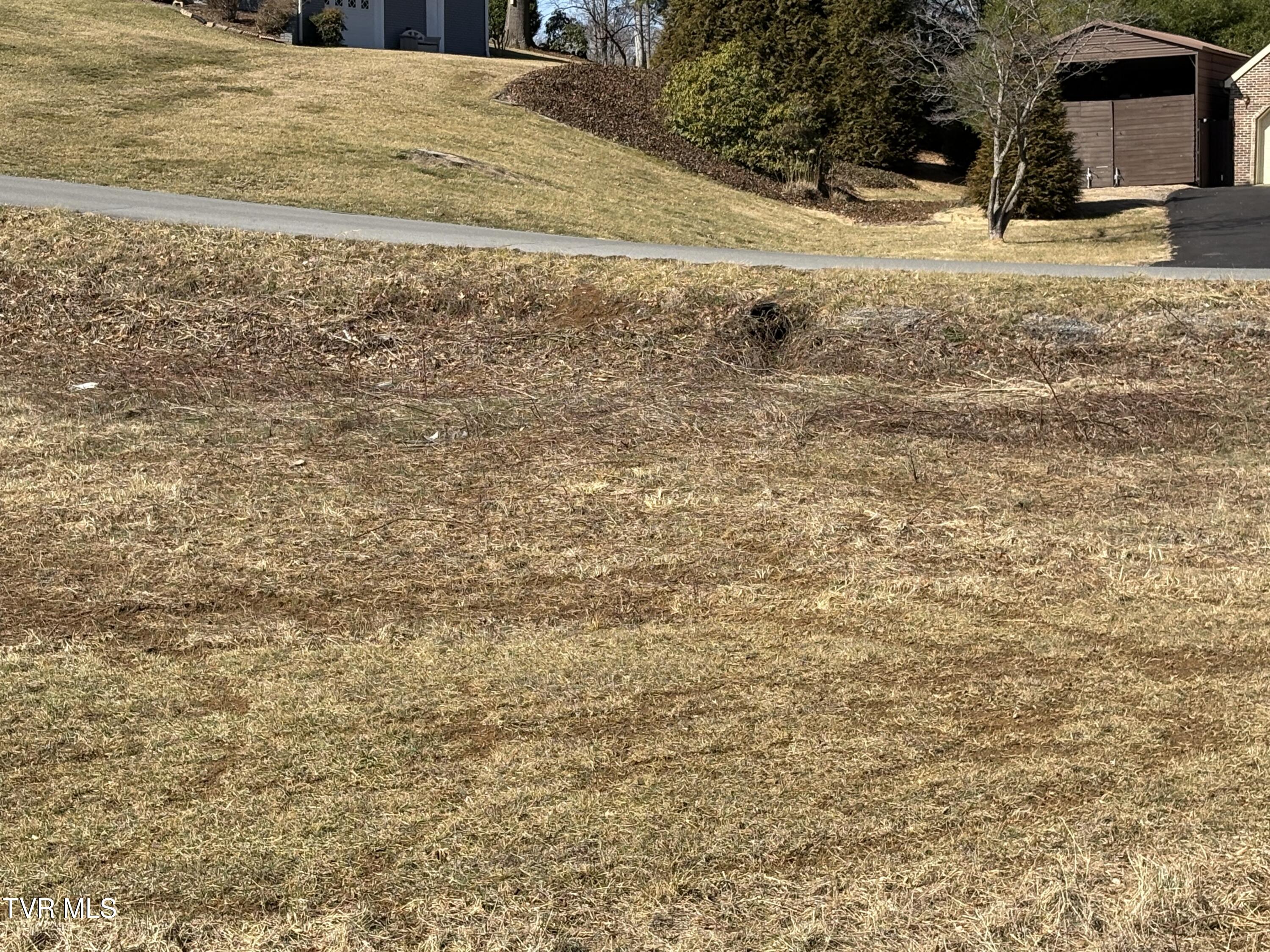 Park Dr & Silver Maple Drive, Jonesborough, Tennessee image 2