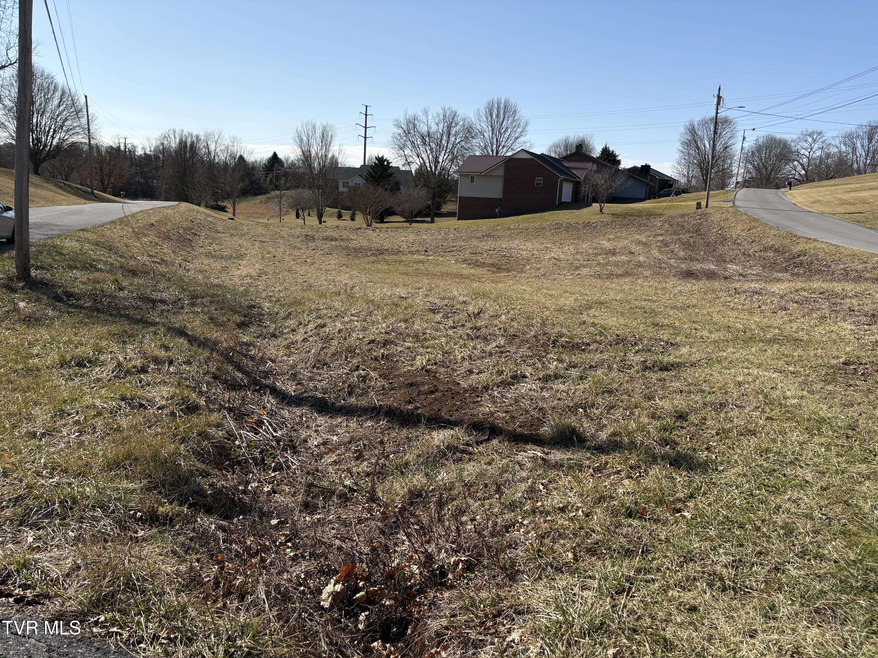 Park Dr & Silver Maple Drive, Jonesborough, Tennessee image 3
