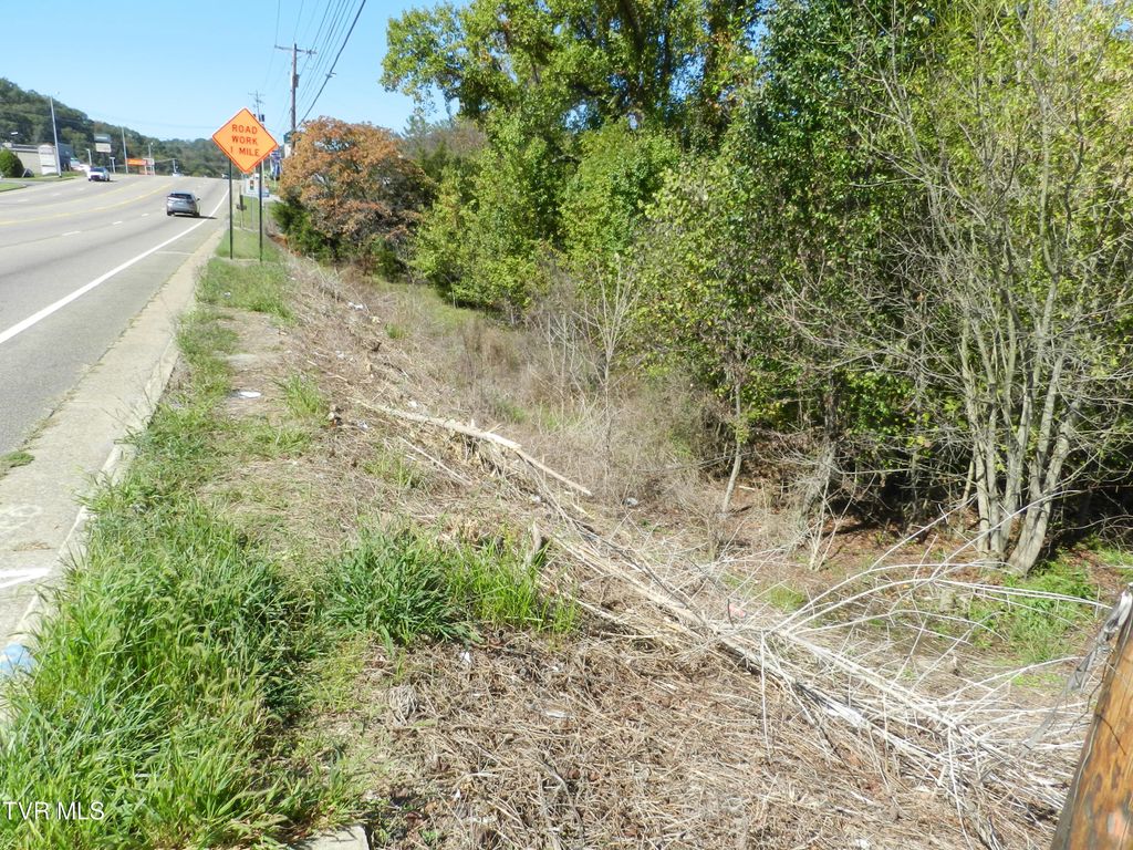 Photo of 4217 Fort Henry Drive, Kingsport, TN 37663 (MLS # 9972111)