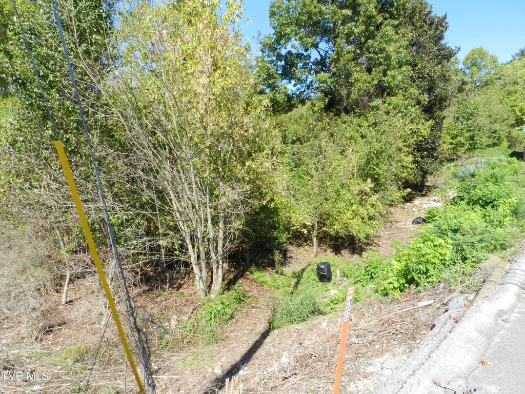 Photo of 4217 Fort Henry Drive, Kingsport, TN 37663 (MLS # 9972111)