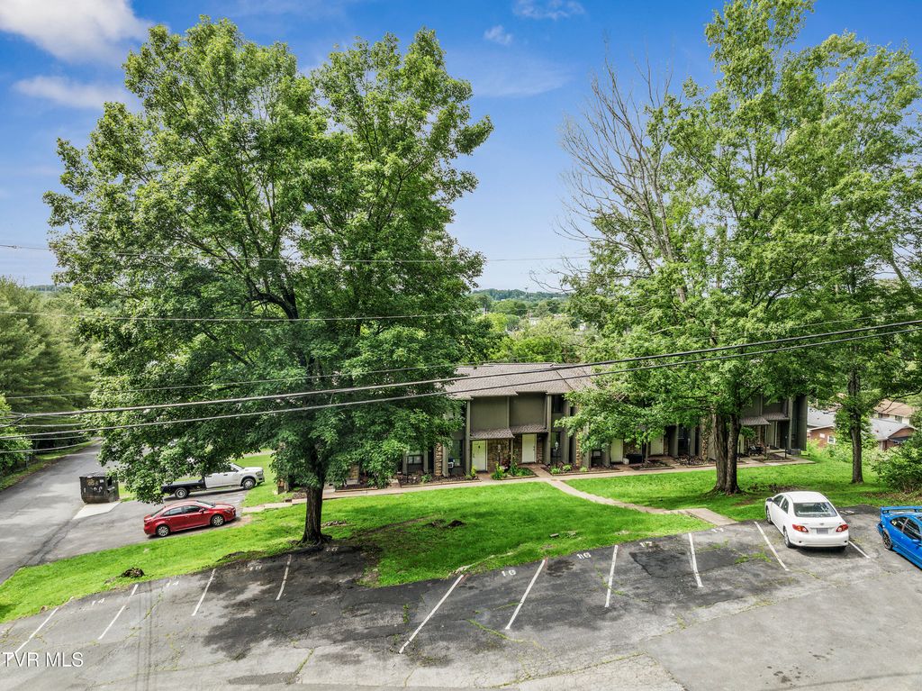 Photo of 1419 Colony Park Drive, Johnson City, TN 37604 (MLS # 9984195)