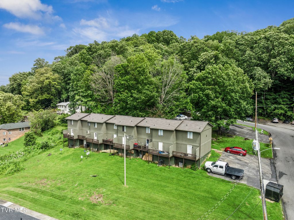 Photo of 1419 Colony Park Drive, Johnson City, TN 37604 (MLS # 9984195)