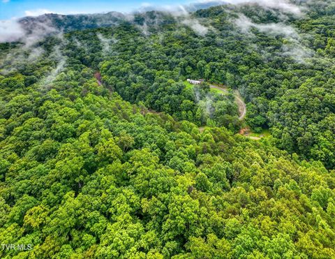 Tiny photo for 718 Mullins Drive, Sneedville, TN 37869 (MLS # 9982092)