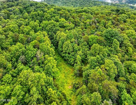 Tiny photo for 718 Mullins Drive, Sneedville, TN 37869 (MLS # 9982092)