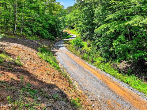 Tiny photo for 718 Mullins Drive, Sneedville, TN 37869 (MLS # 9982092)