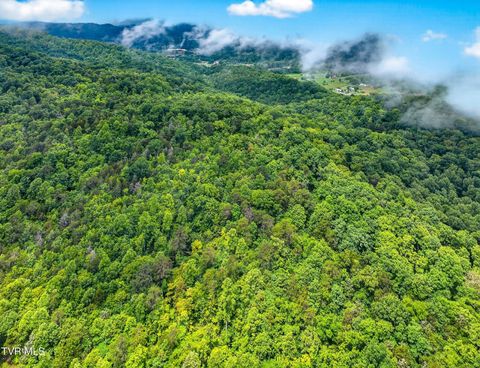 Tiny photo for 718 Mullins Drive, Sneedville, TN 37869 (MLS # 9982092)