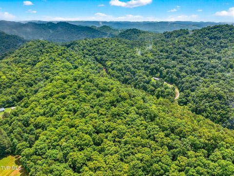 Tiny photo for 718 Mullins Drive, Sneedville, TN 37869 (MLS # 9982092)