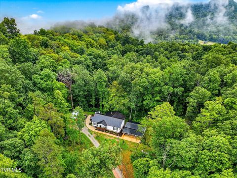 Tiny photo for 718 Mullins Drive, Sneedville, TN 37869 (MLS # 9982092)