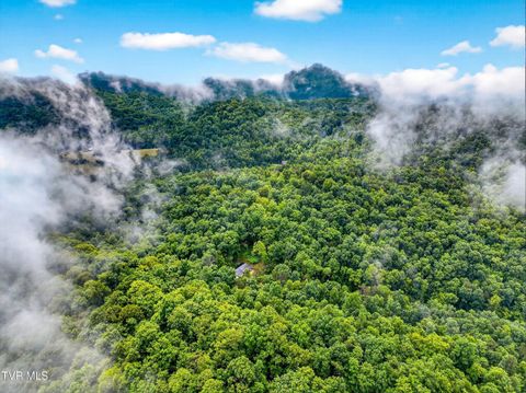 Tiny photo for 718 Mullins Drive, Sneedville, TN 37869 (MLS # 9982092)