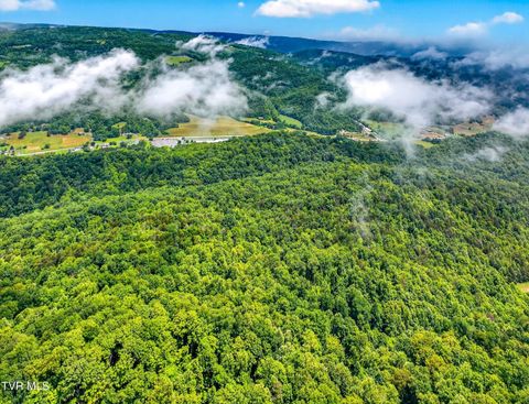 Tiny photo for 718 Mullins Drive, Sneedville, TN 37869 (MLS # 9982092)