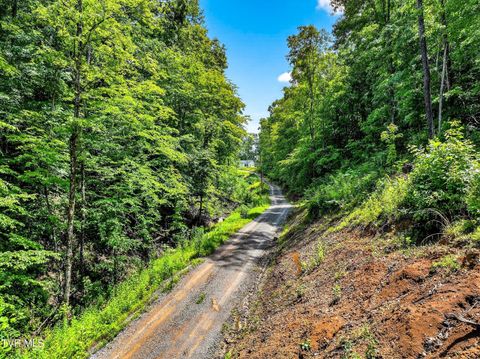Tiny photo for 718 Mullins Drive, Sneedville, TN 37869 (MLS # 9982092)