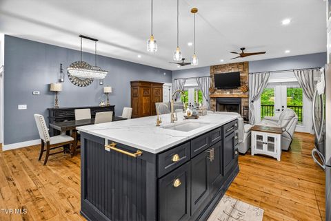 Tiny photo for 718 Mullins Drive, Sneedville, TN 37869 (MLS # 9982092)