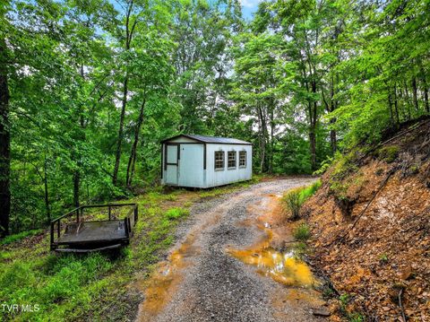 Tiny photo for 718 Mullins Drive, Sneedville, TN 37869 (MLS # 9982092)