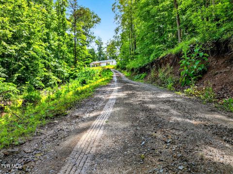 Tiny photo for 718 Mullins Drive, Sneedville, TN 37869 (MLS # 9982092)