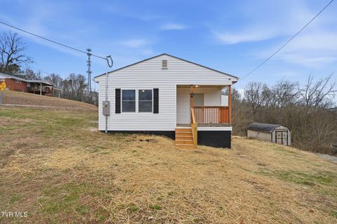 Photo of 413 Fontana Street, Kingsport, TN 37660 (MLS # 9990654)