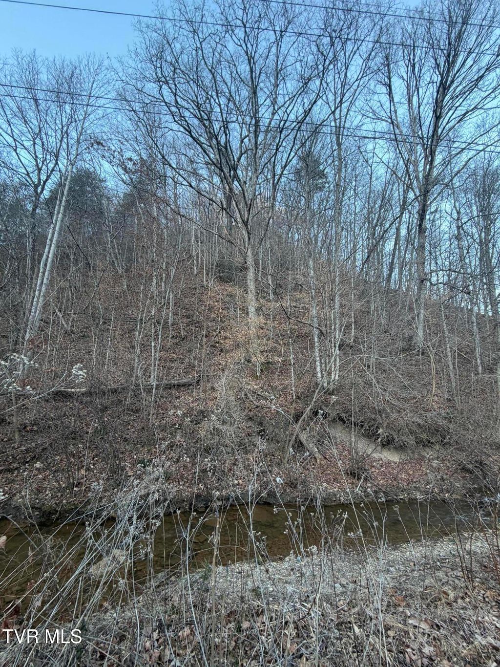 Photo of Tbd Highway 25E, Bean Station, TN 37708 (MLS # 9990392)