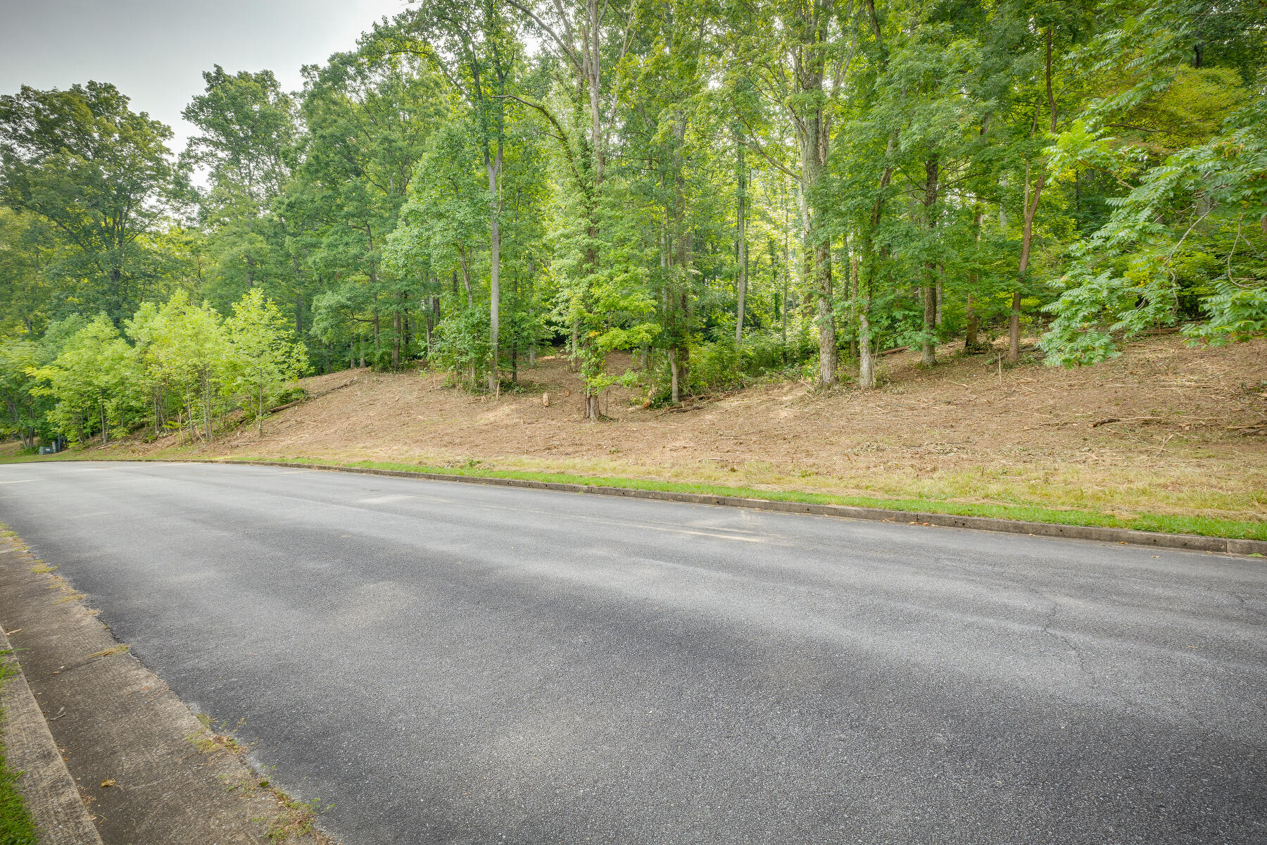 Lot 36 Chimney Top Lane, Chuckey, Tennessee image 7