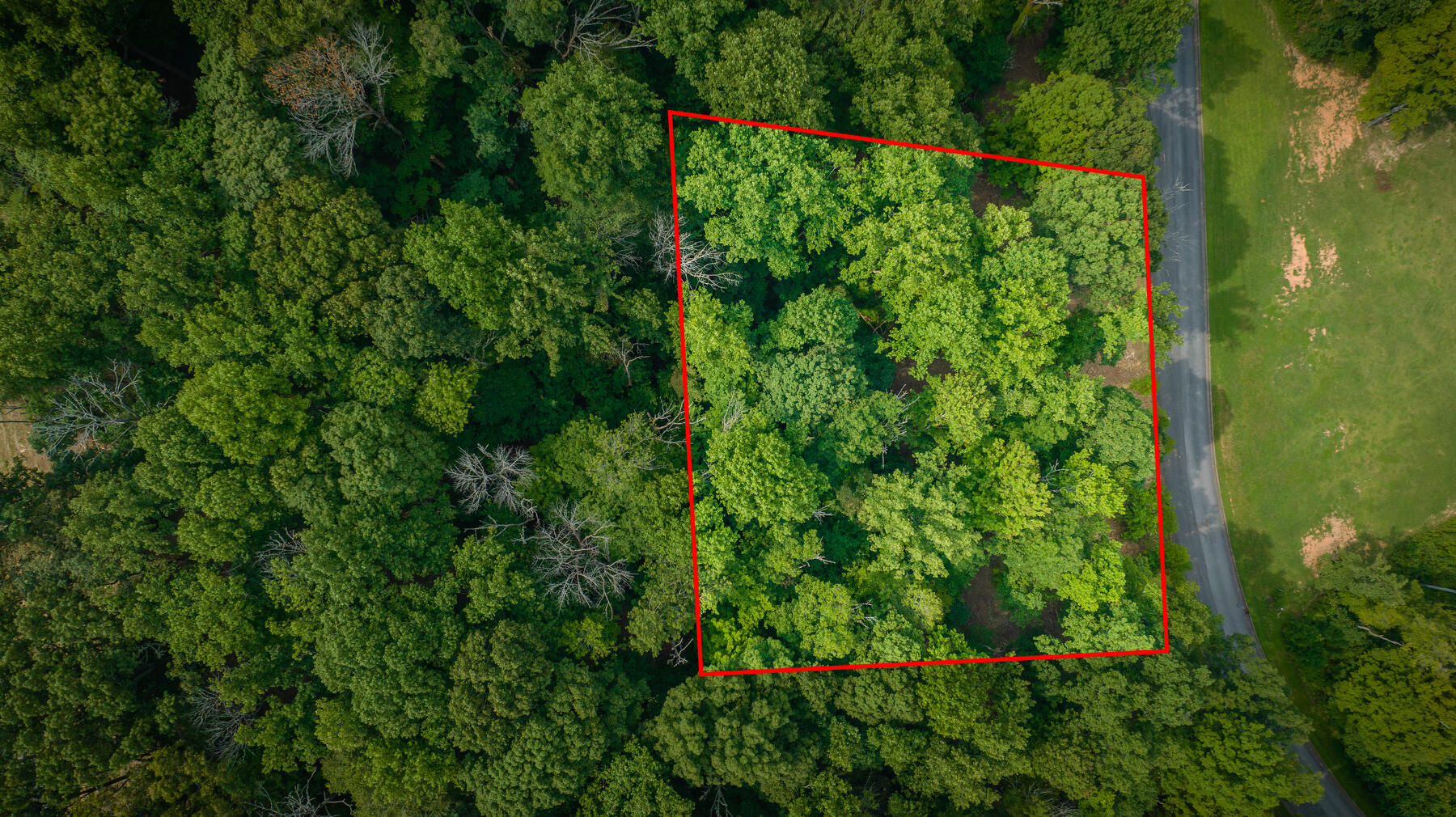 Lot 36 Chimney Top Lane, Chuckey, Tennessee image 5