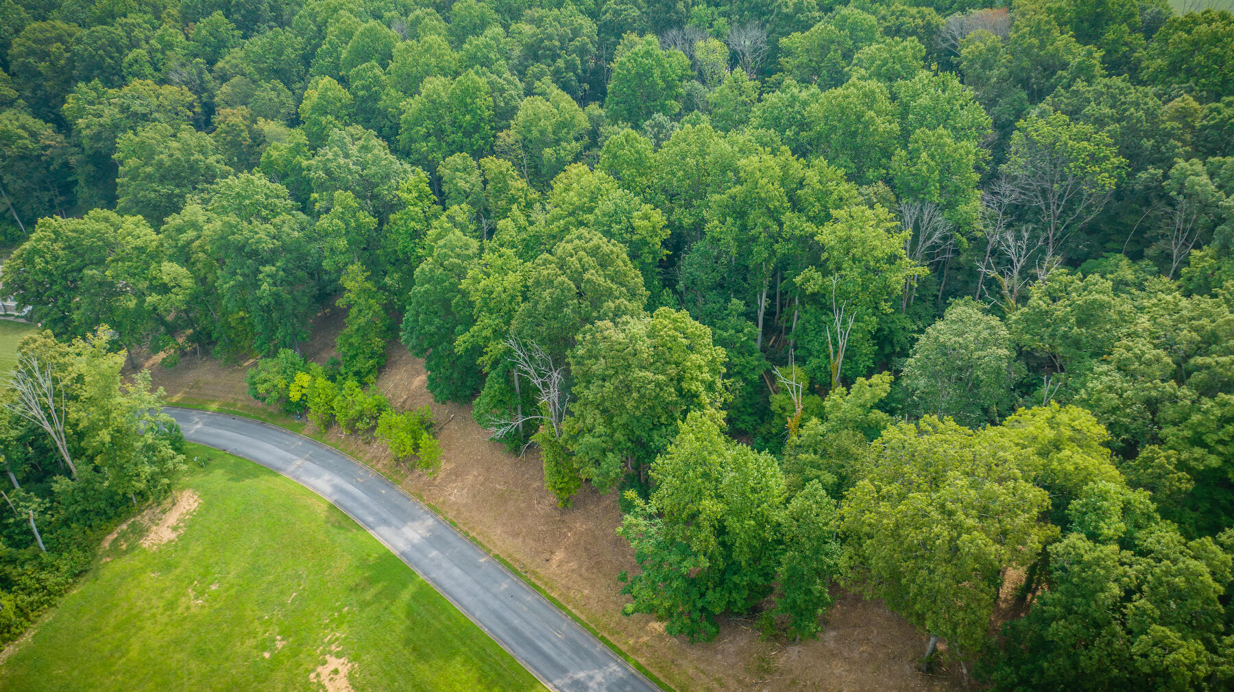Lot 36 Chimney Top Lane, Chuckey, Tennessee image 3