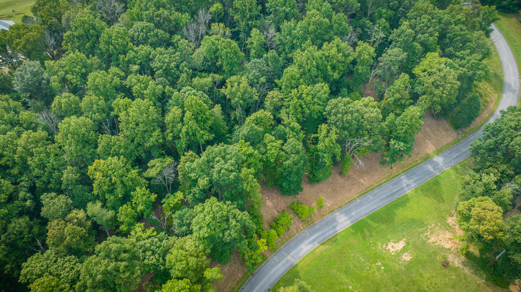 Lot 36 Chimney Top Lane, Chuckey, Tennessee image 4