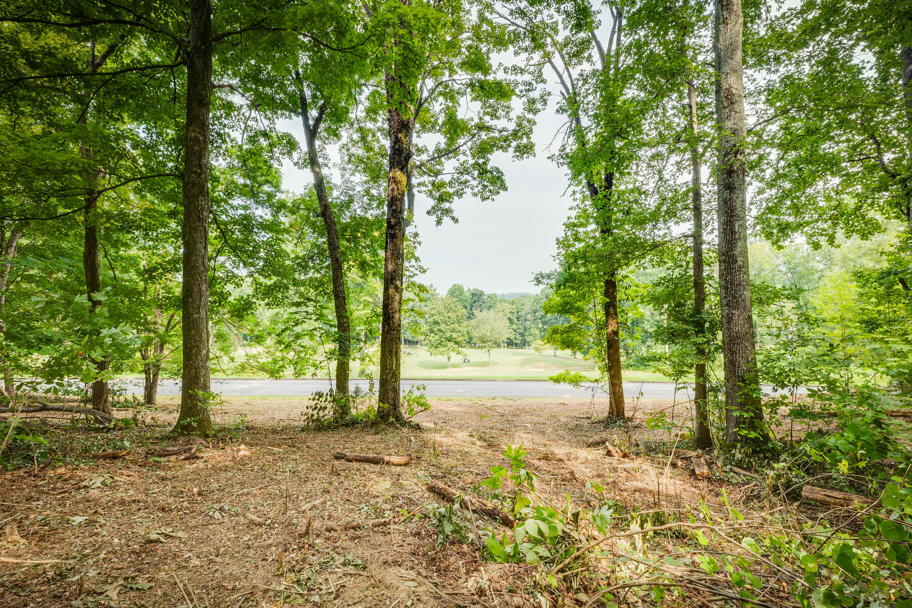 Lot 36 Chimney Top Lane, Chuckey, Tennessee image 8