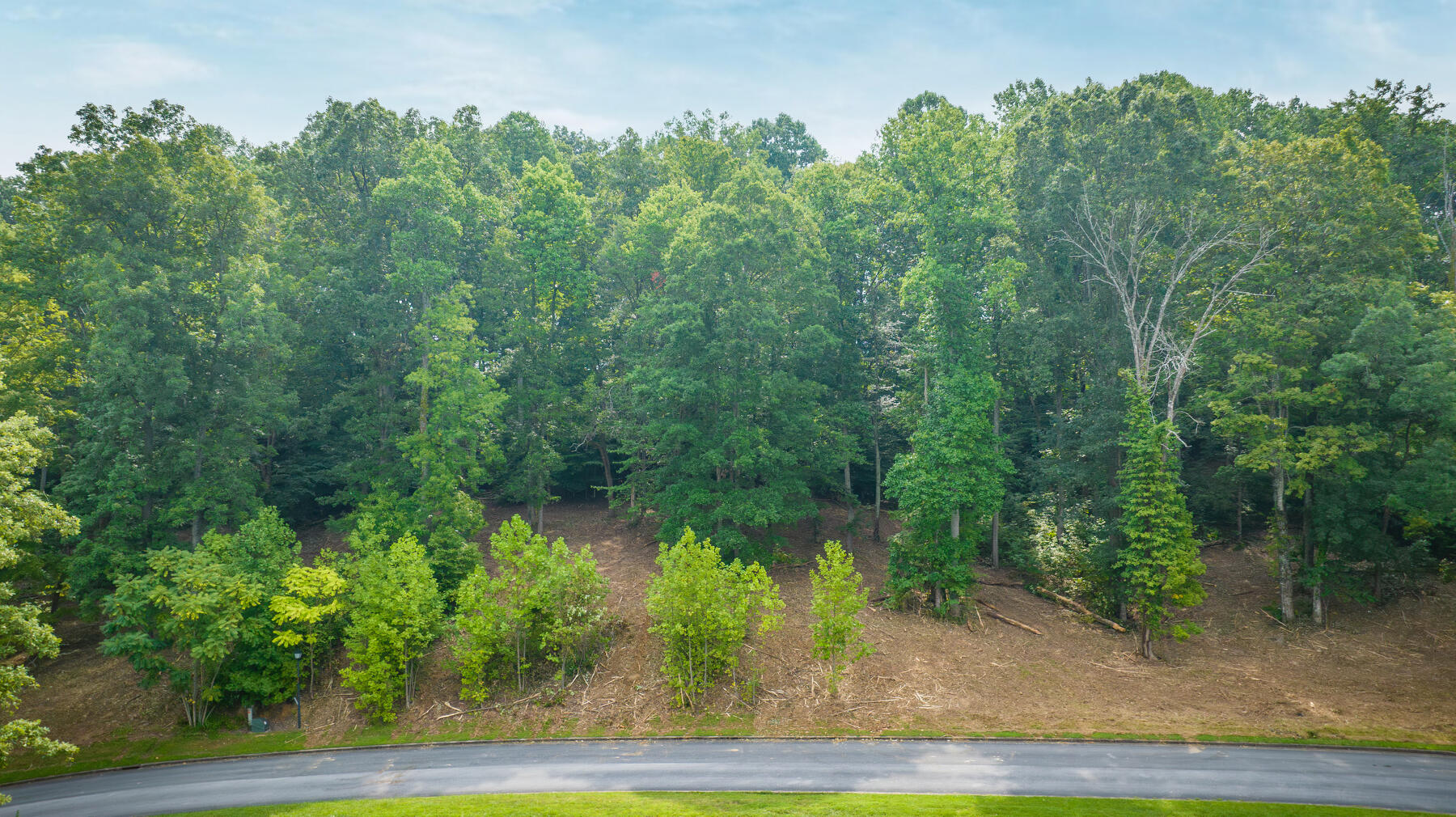 Lot 36 Chimney Top Lane, Chuckey, Tennessee image 1