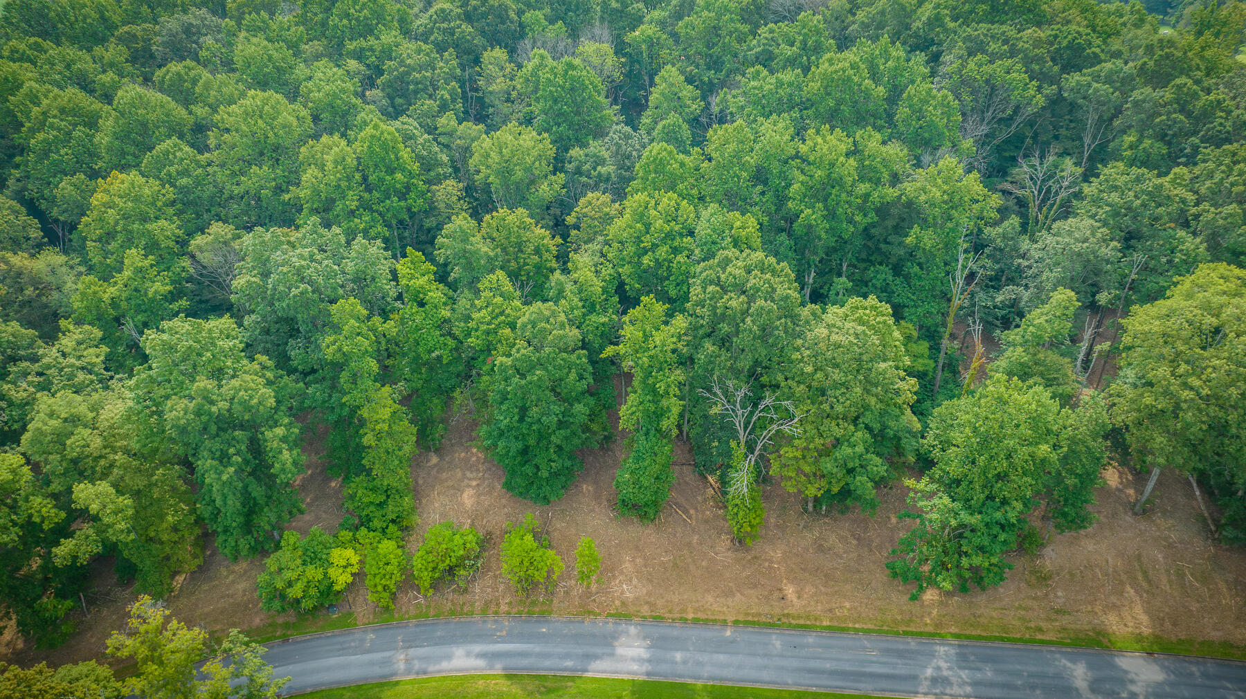 Lot 36 Chimney Top Lane, Chuckey, Tennessee image 2