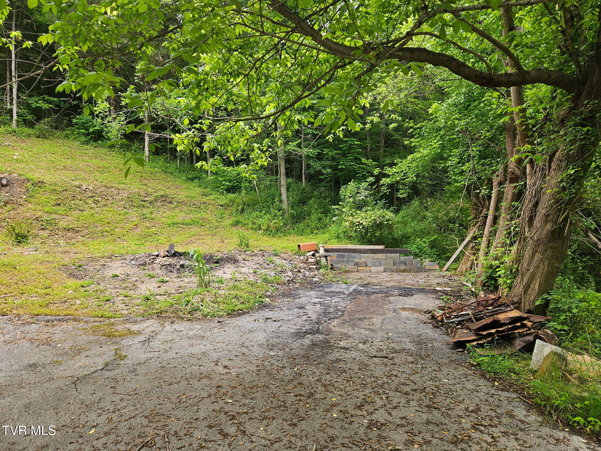 8300 Warrensburg Road Road, Mosheim, Tennessee image 7