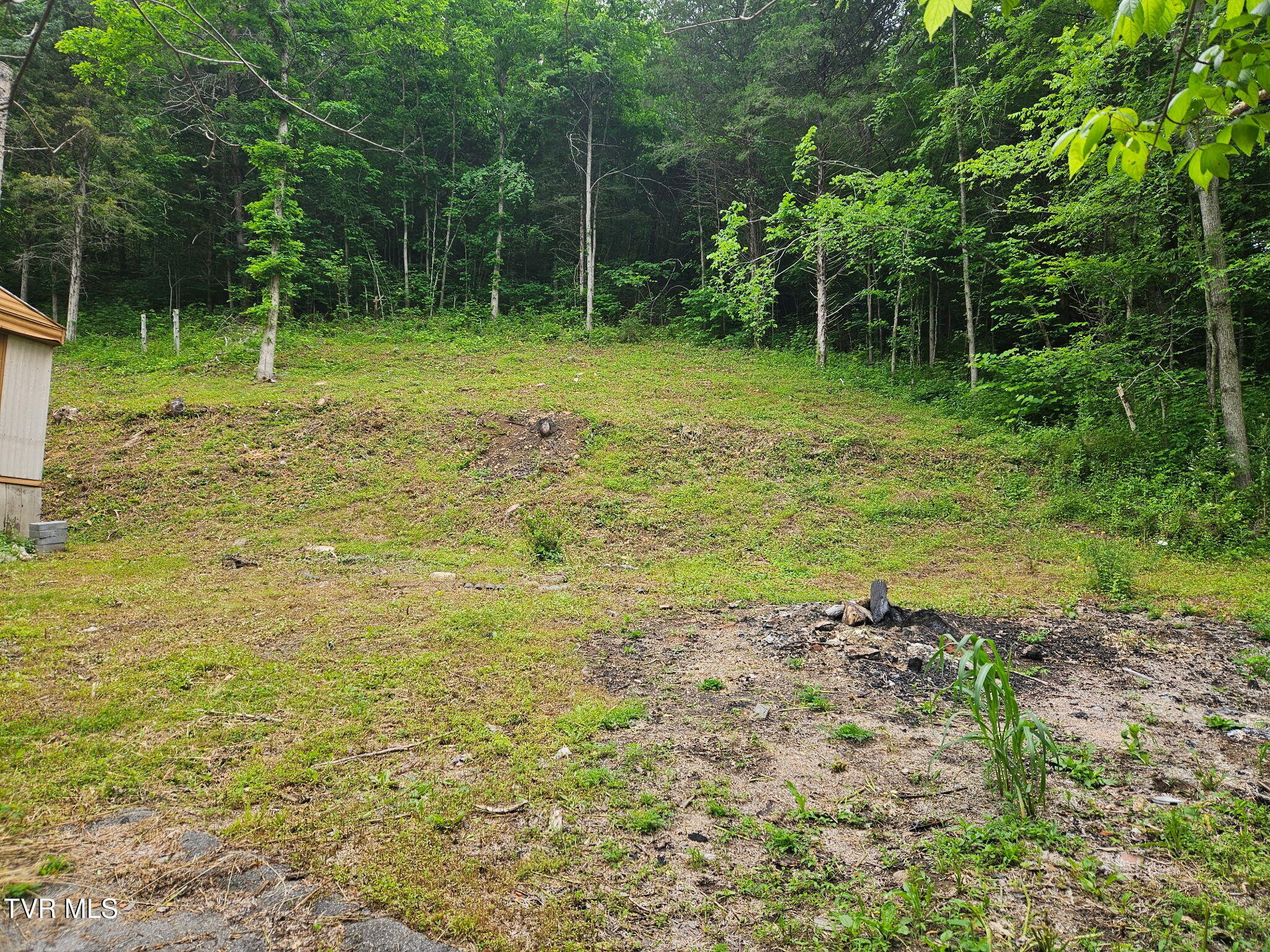 8300 Warrensburg Road Road, Mosheim, Tennessee image 6