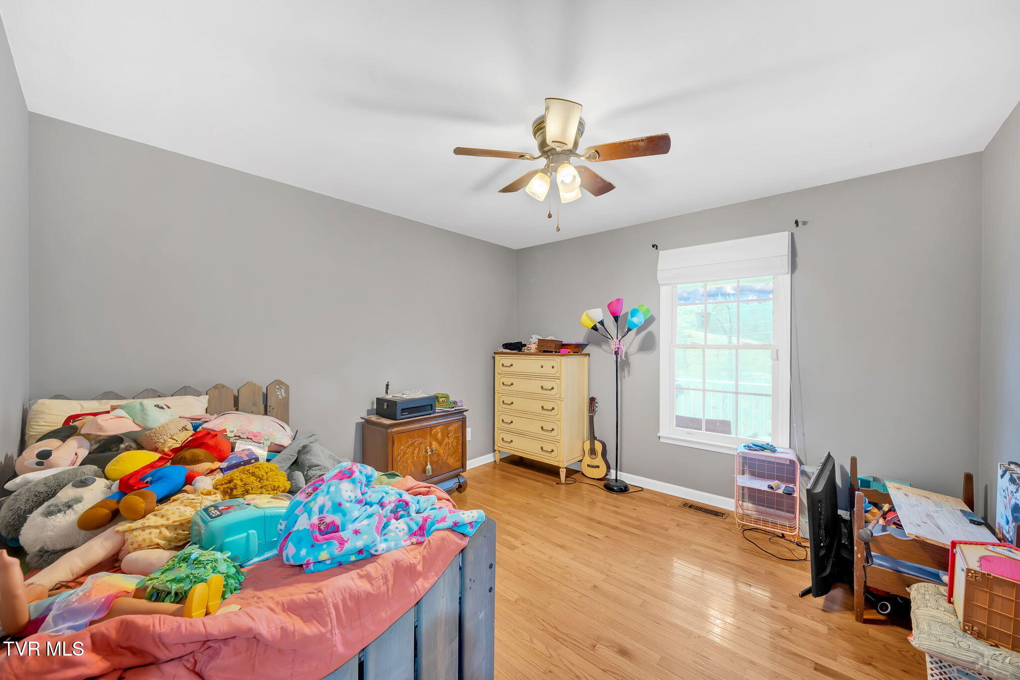 163 Springbrook Road, Unicoi, Tennessee image 17