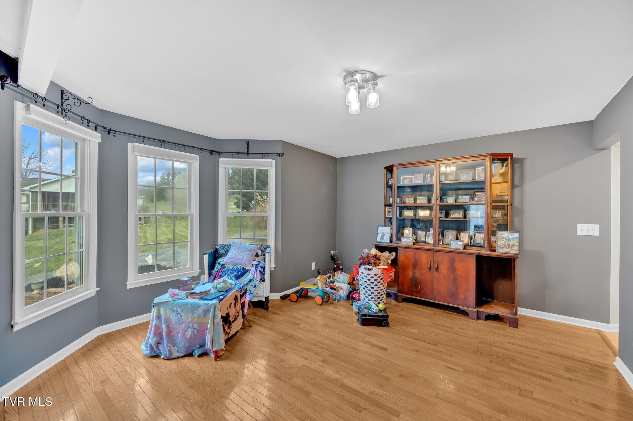 163 Springbrook Road, Unicoi, Tennessee image 12