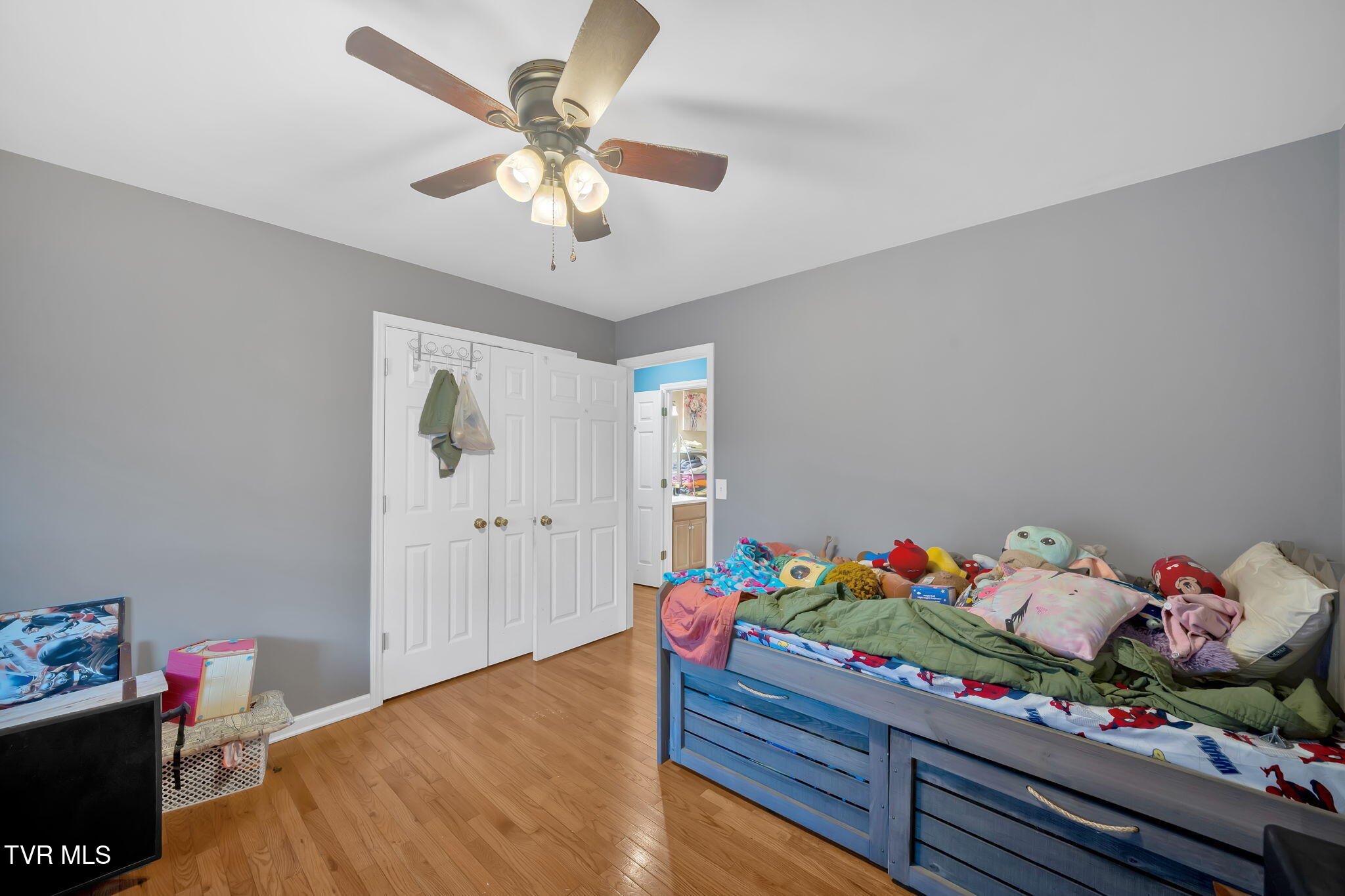 163 Springbrook Road, Unicoi, Tennessee image 19