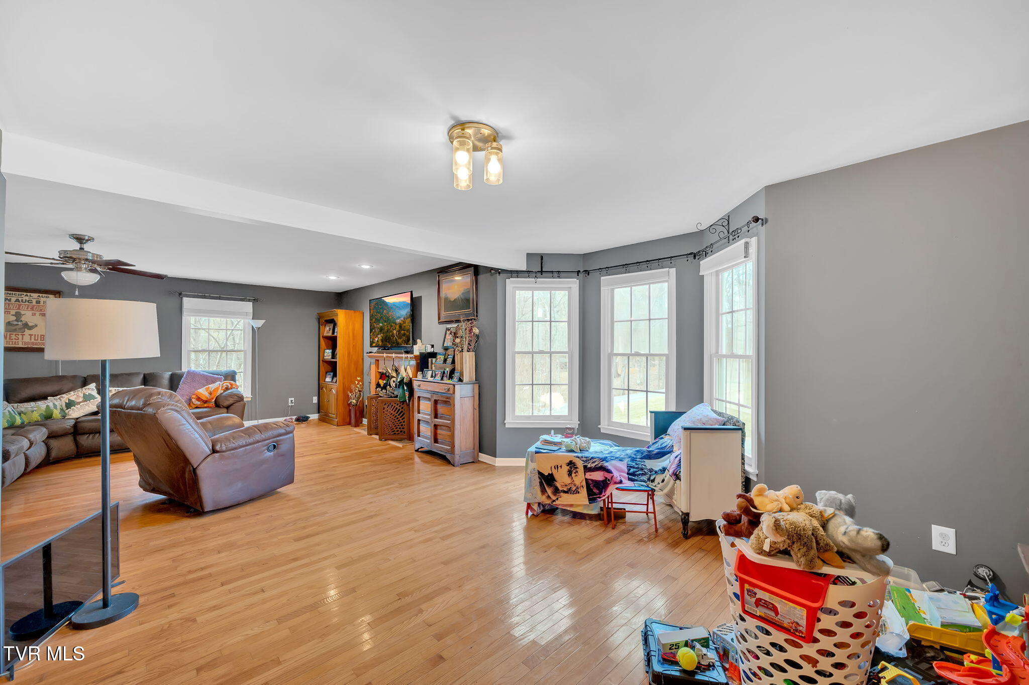 163 Springbrook Road, Unicoi, Tennessee image 13