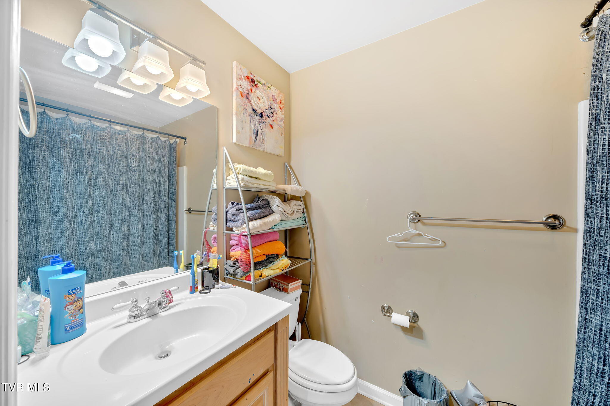 163 Springbrook Road, Unicoi, Tennessee image 18