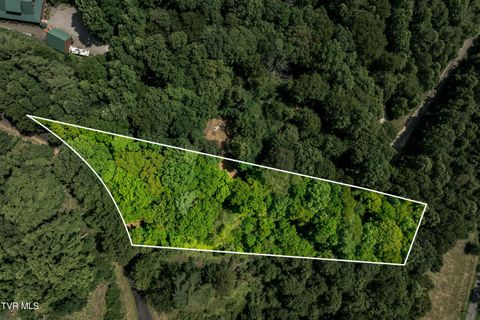 Vacant Land For Sale - LOT 33 Lake Ridge Road<br/> Johnson County, Butler, TN 37640