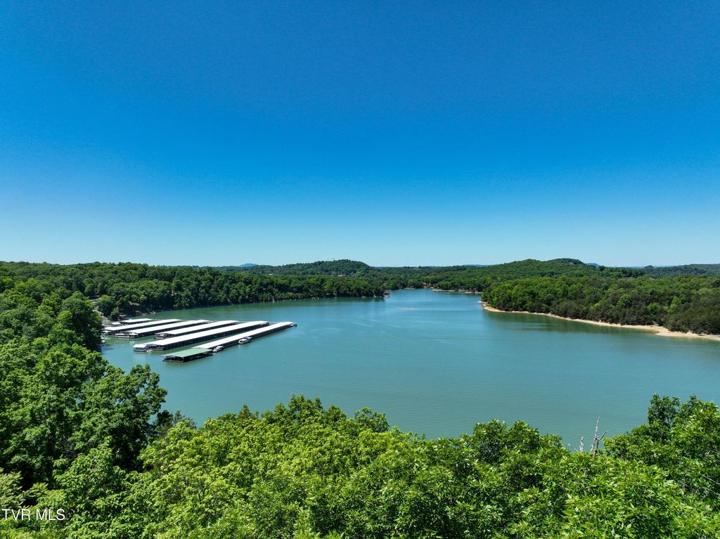 Photo of 614 Harbor Point Drive, Johnson City, TN 37615 (MLS # 9981007)