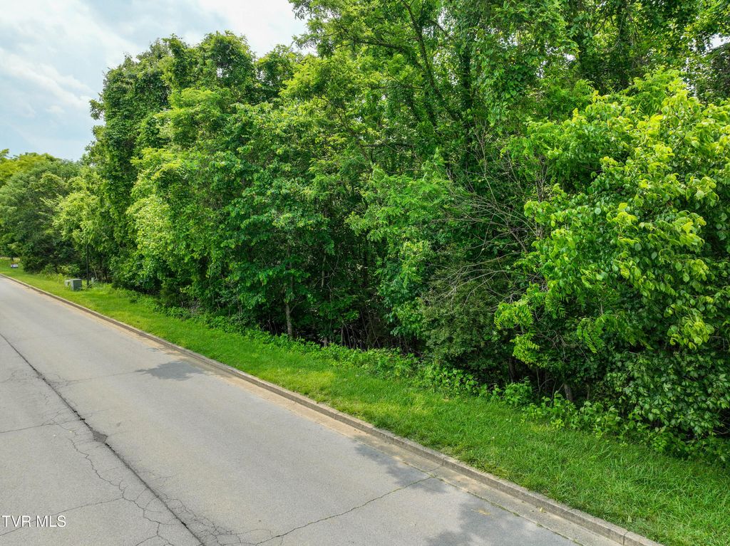 Photo of 614 Harbor Point Drive, Johnson City, TN 37615 (MLS # 9981007)
