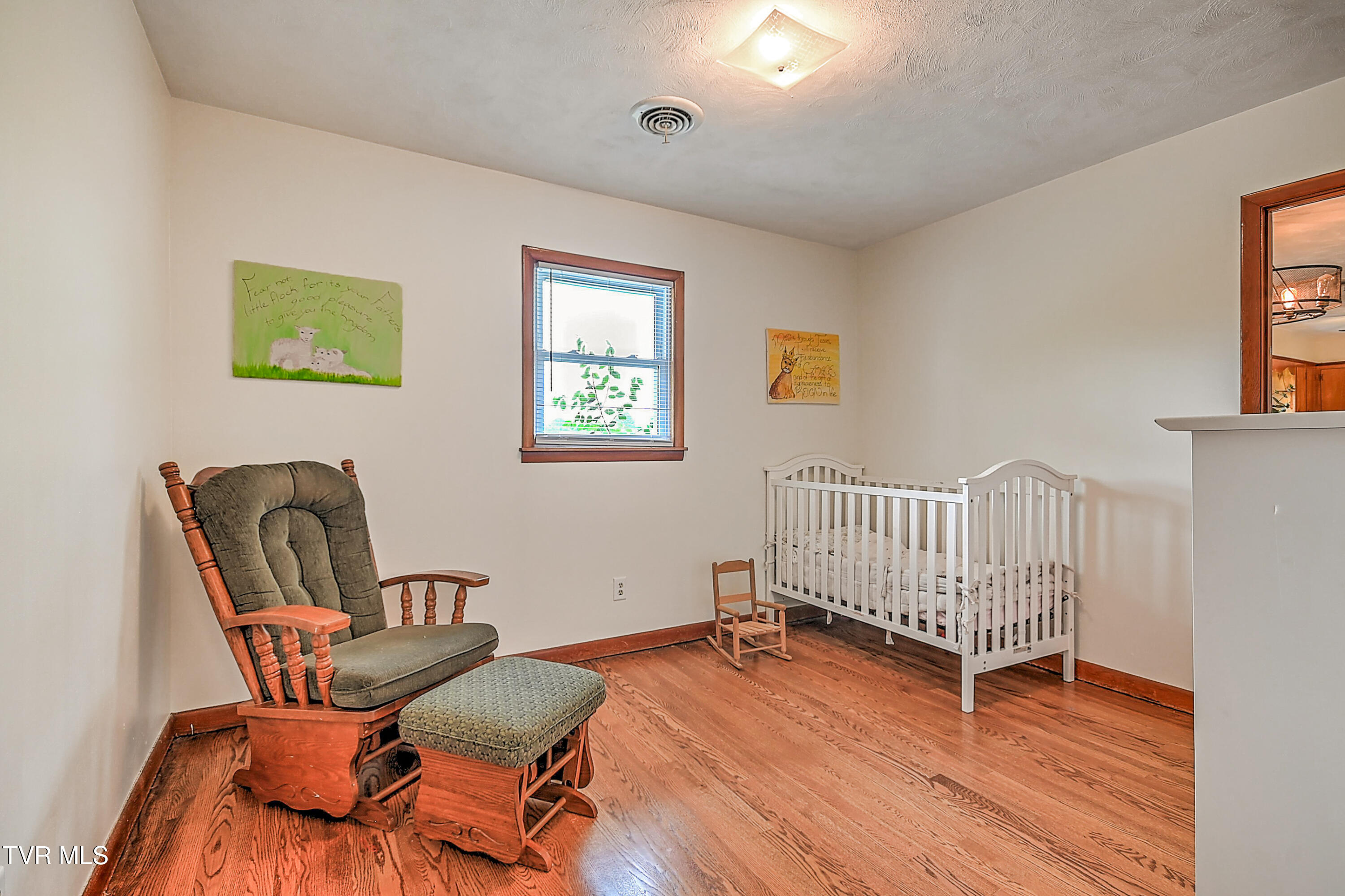 113 Belmont Drive, Greeneville, Tennessee image 29