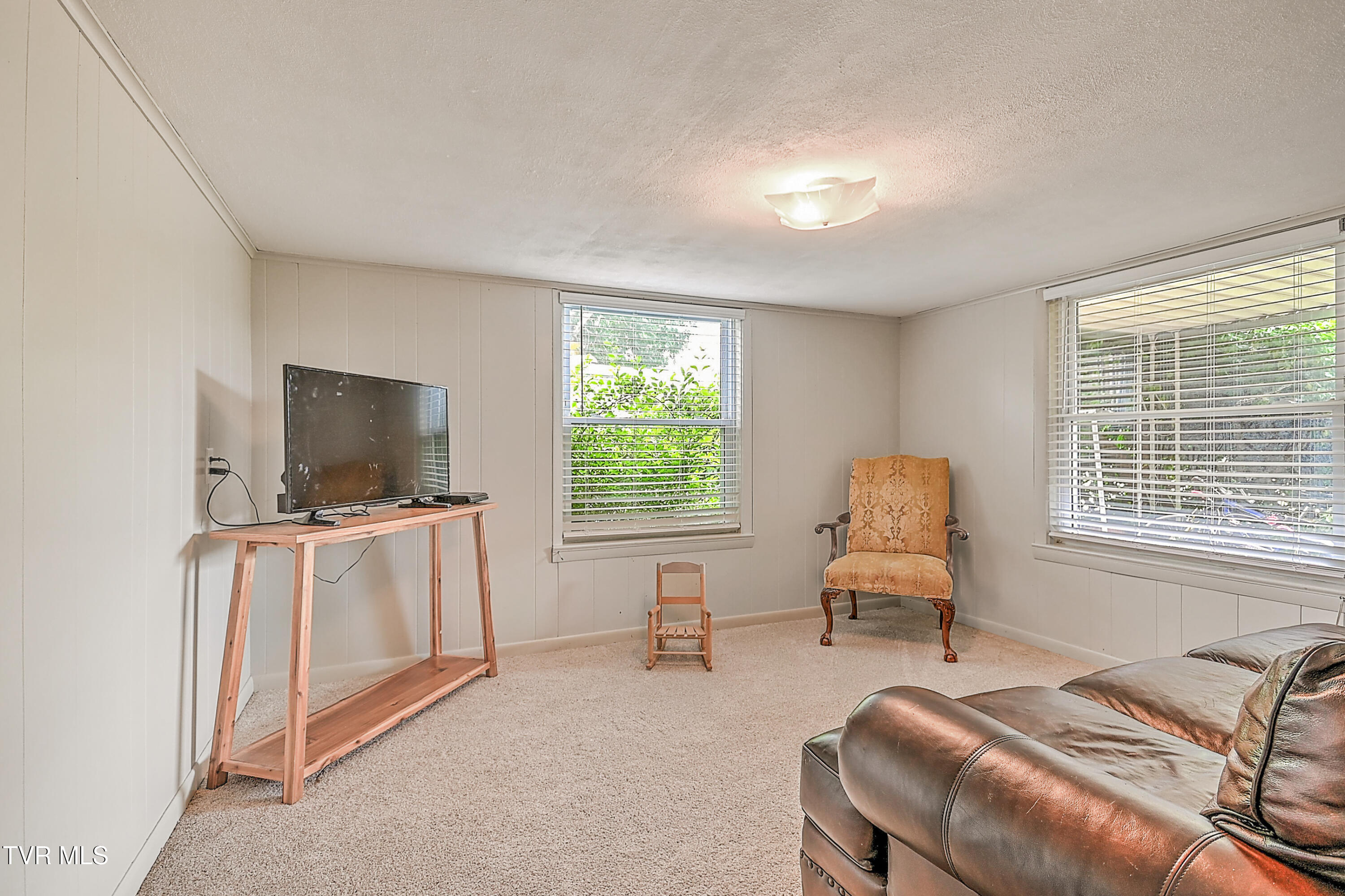 113 Belmont Drive, Greeneville, Tennessee image 34