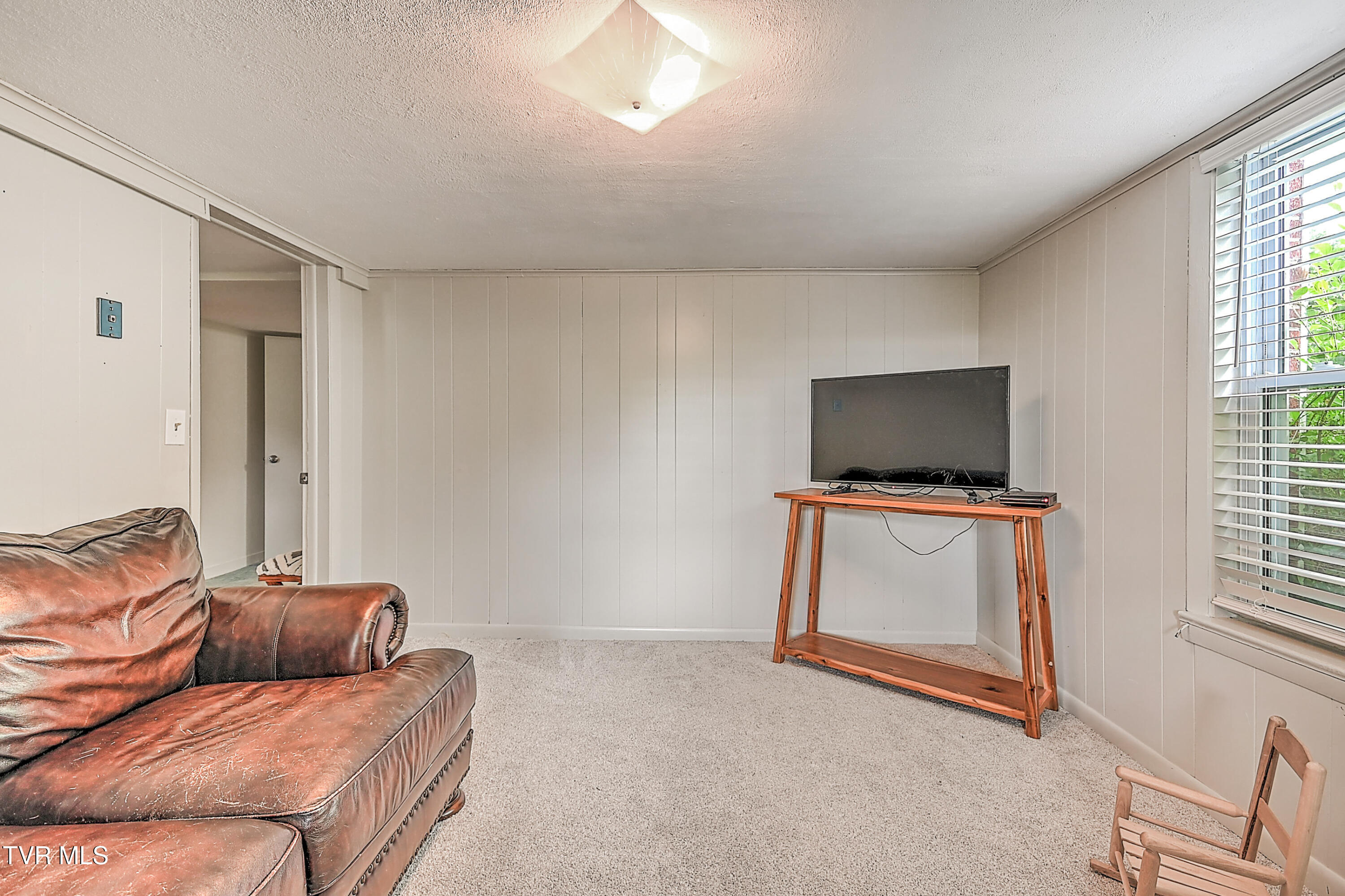 113 Belmont Drive, Greeneville, Tennessee image 35
