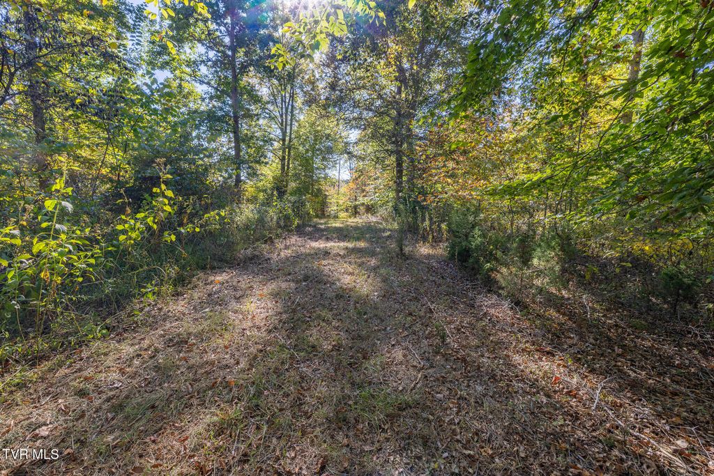 Photo of 413 Paddle Creek Road, Bristol, TN 37620 (MLS # 9988256)
