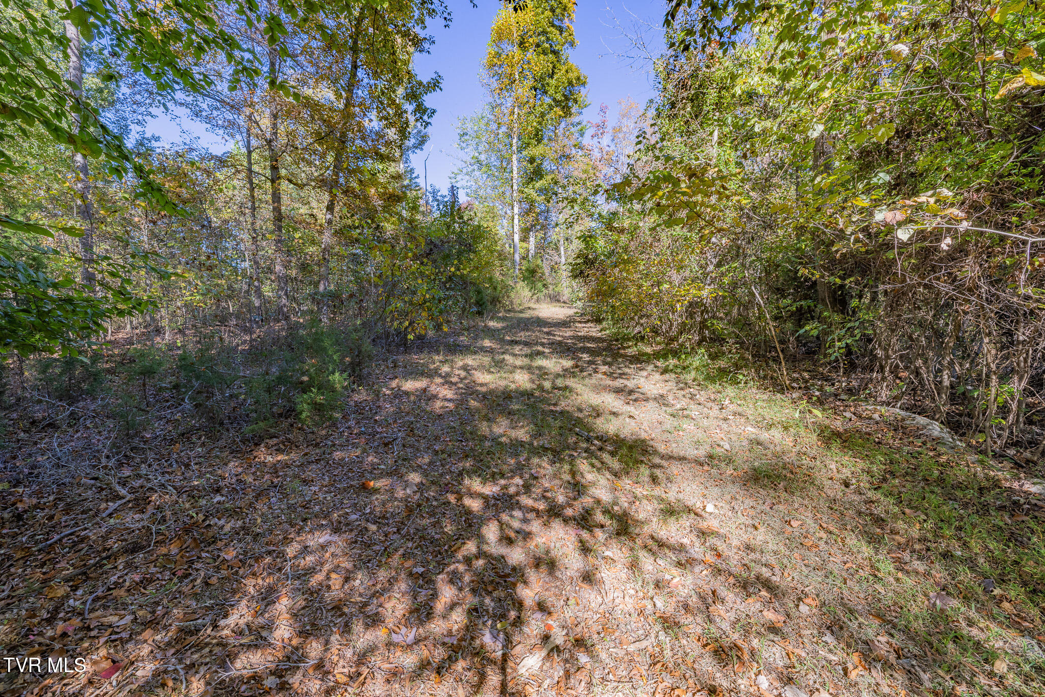 413 Paddle Creek Road