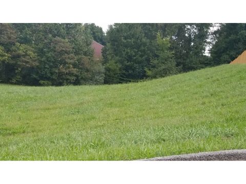Vacant Land For Sale - #4 Clearwater Drive<br/> Unicoi County, Unicoi, TN 37692