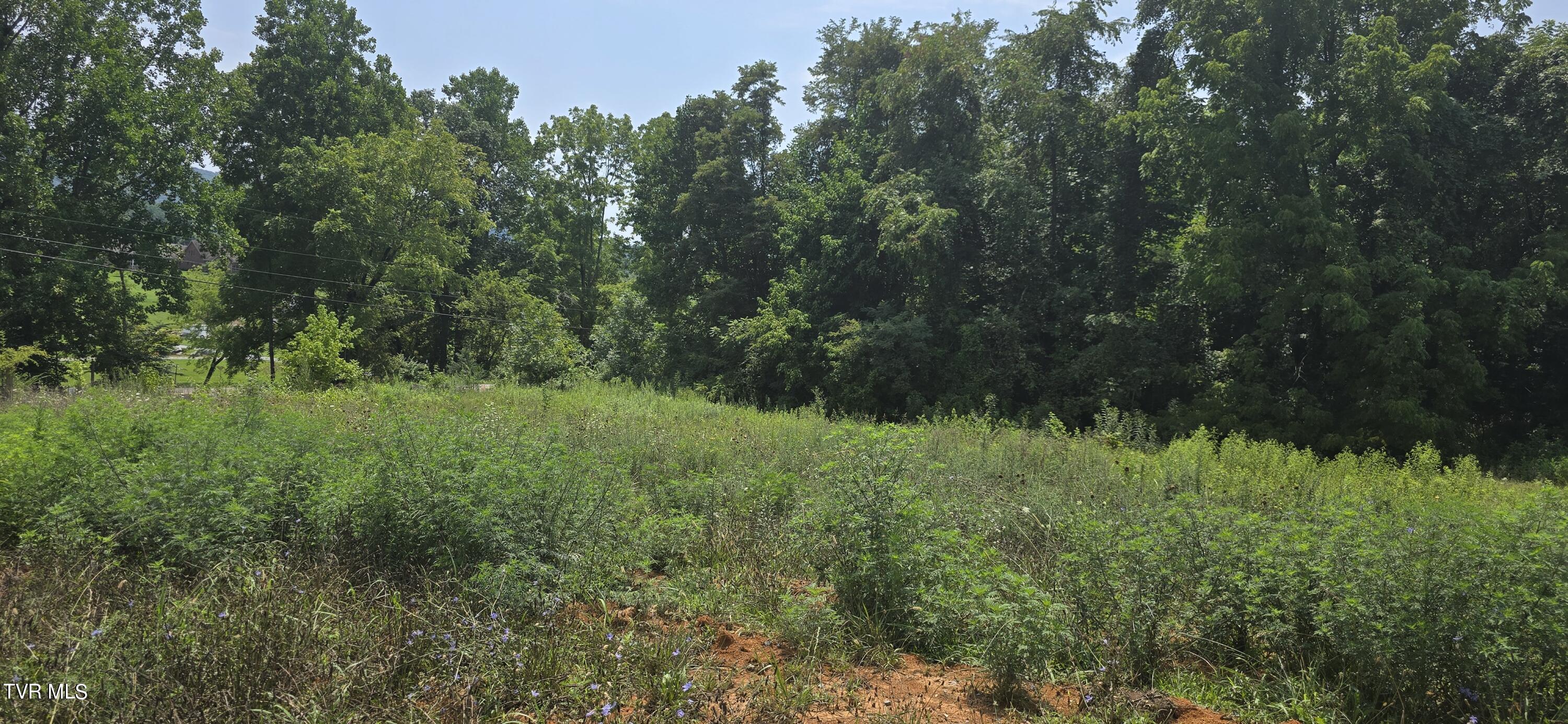 1 Redbird Ridge, Johnson City, Tennessee image 7