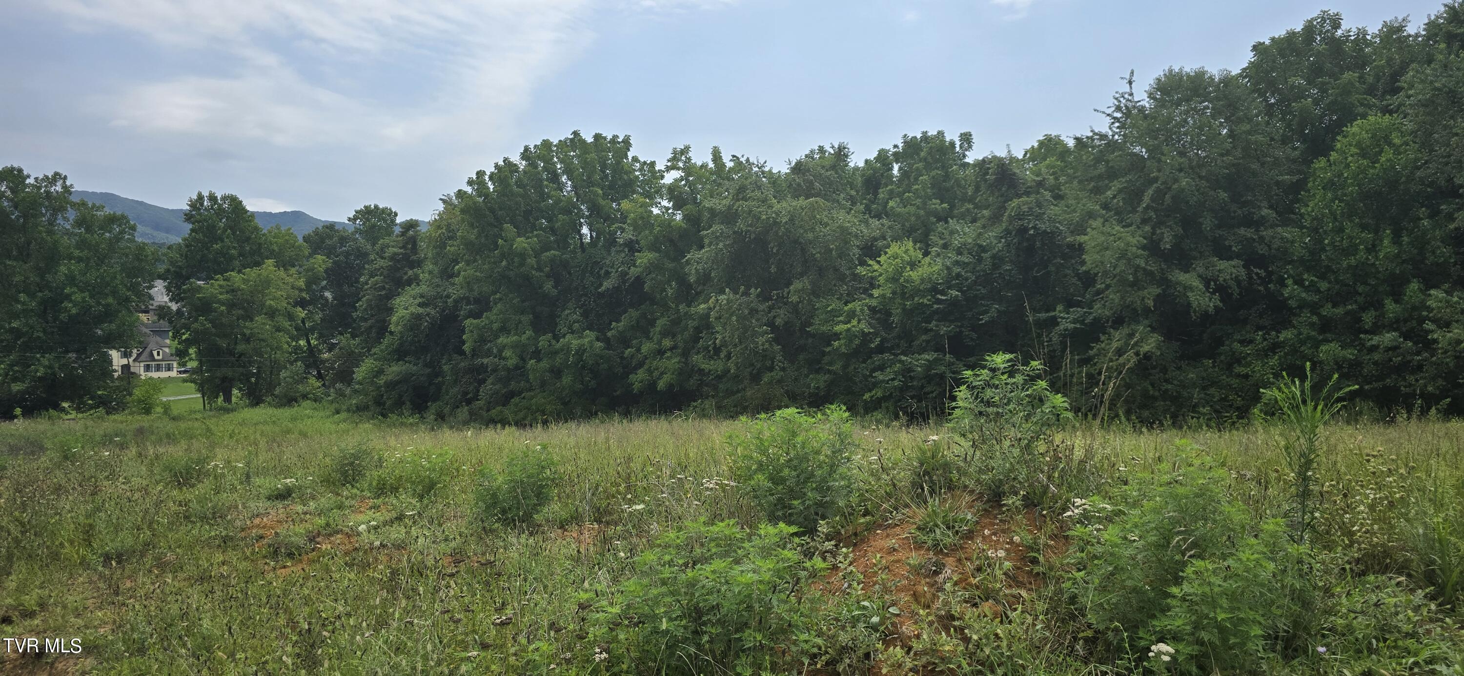 1 Redbird Ridge, Johnson City, Tennessee image 10