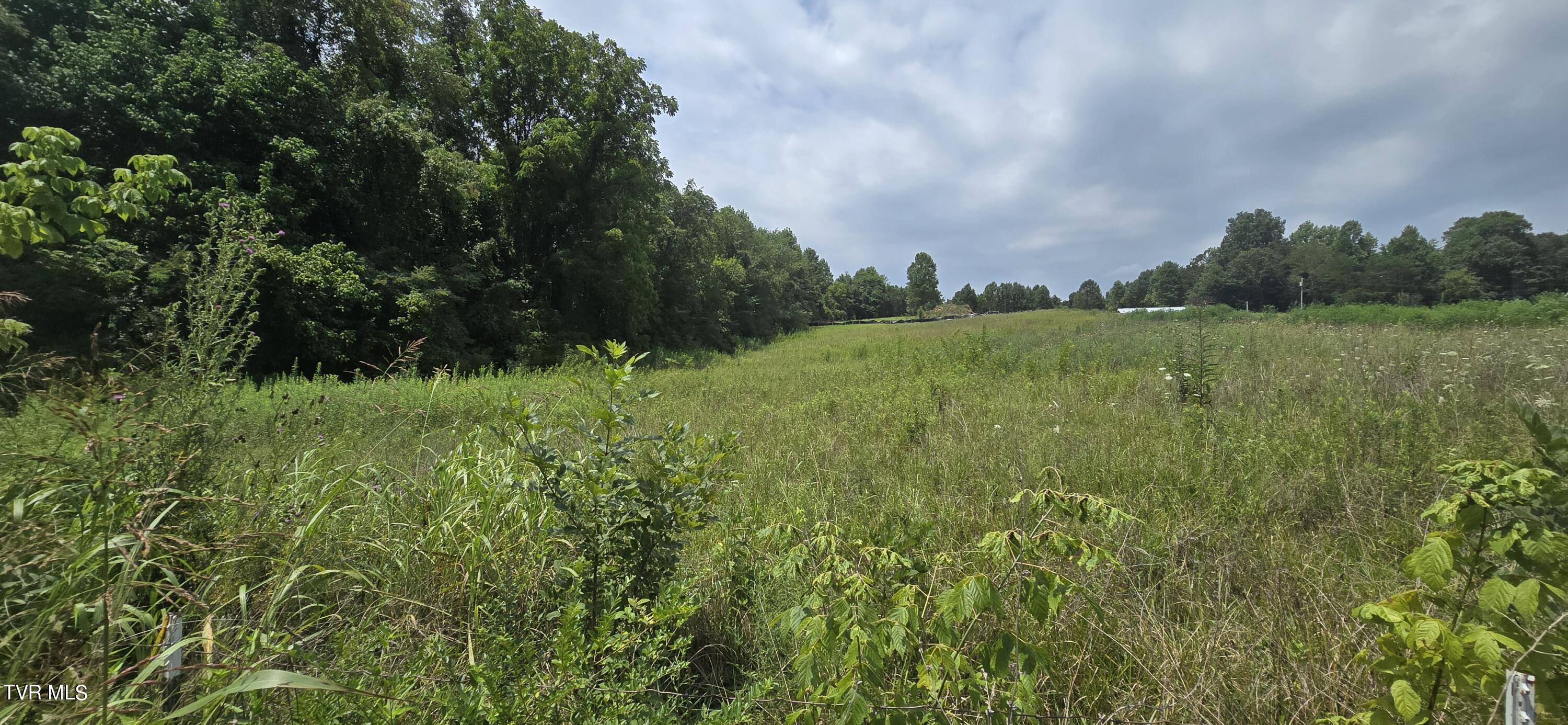 1 Redbird Ridge, Johnson City, Tennessee image 2