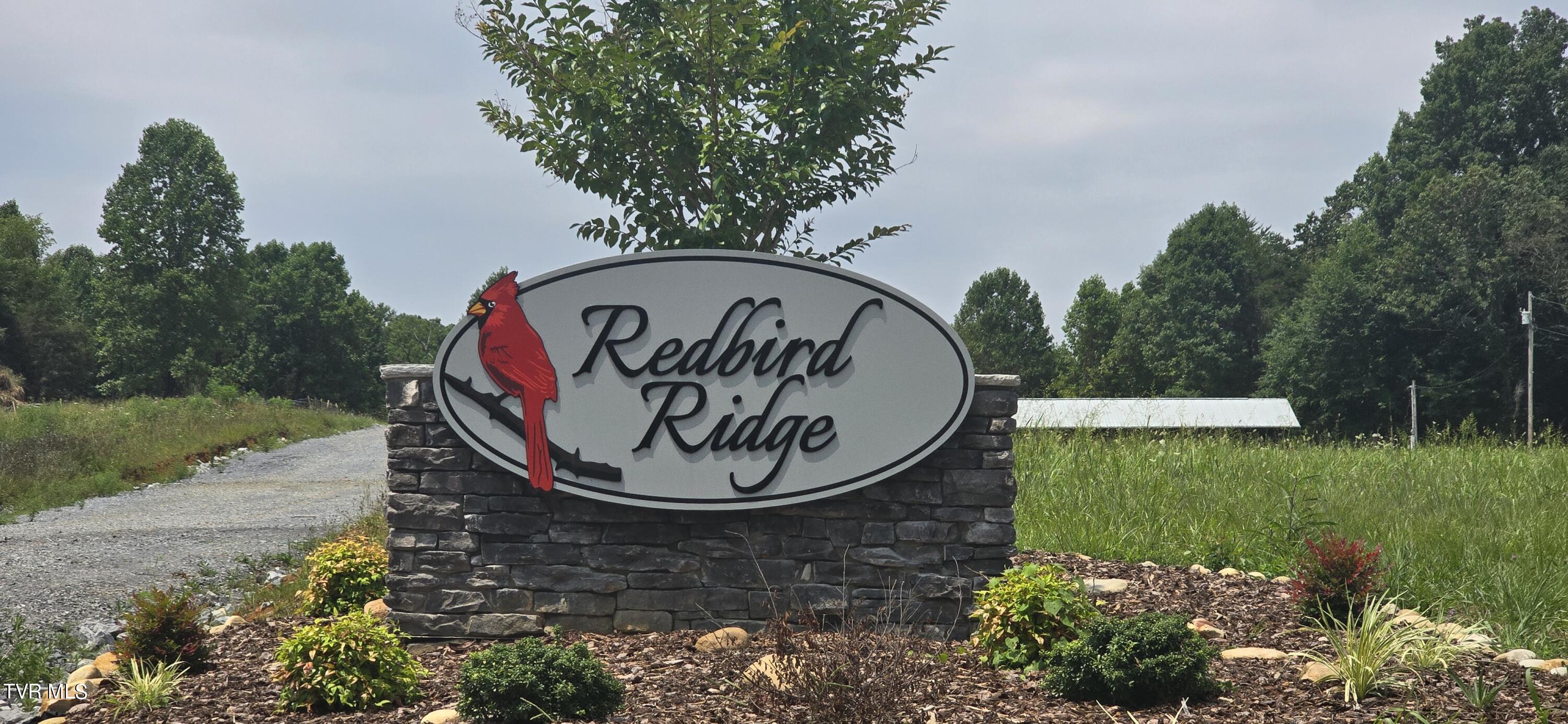 1 Redbird Ridge, Johnson City, Tennessee image 4