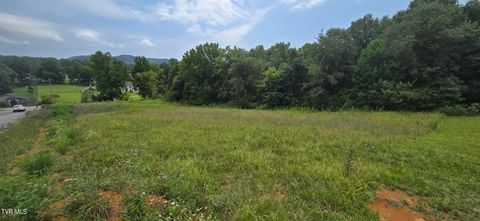 Vacant Land For Sale - 1 Redbird Ridge<br/> Washington County County, Johnson City, TN 37604