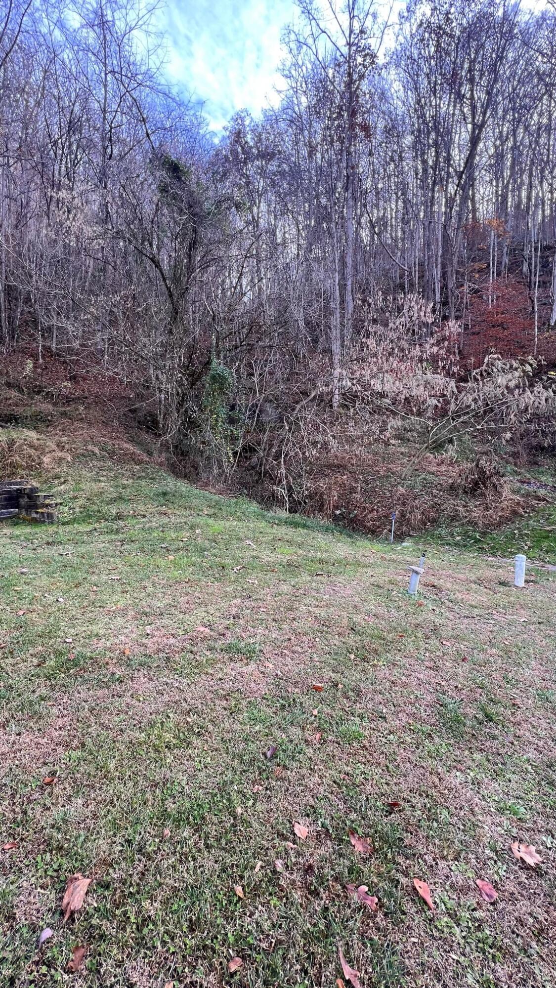 Tbd Waters Edge Road, Duffield, Virginia image 7