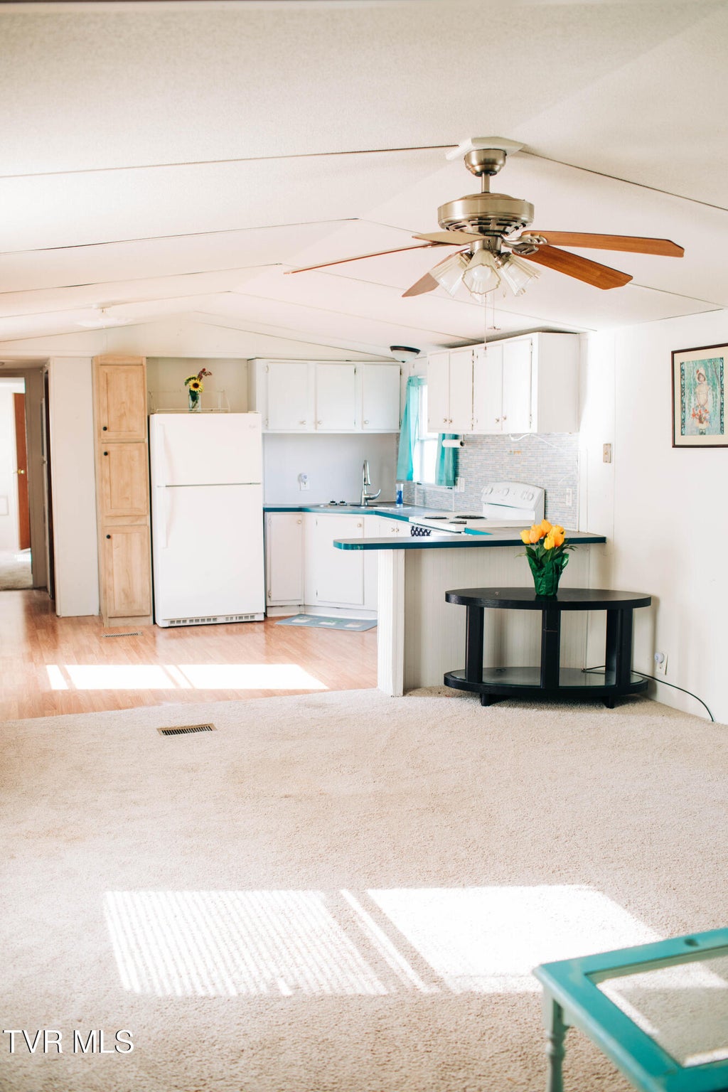 Photo of 214 Telford New Victory Road, Telford, TN 37690 (MLS # 9996313)